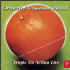 musique d'haiti musique haitienne, haitian music, compas, konpa, mizik, orchestre tropicana d'haïti, geronimo records, G. R.,