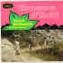 musique d'haiti musique haitienne, haitian music, compas, konpa, mizik, raoul guillaume, ibo records,