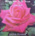 musique d'haiti musique haitienne, haitian music, compas, konpa, mizik, rodrigue milien, toto necessite, michga records,